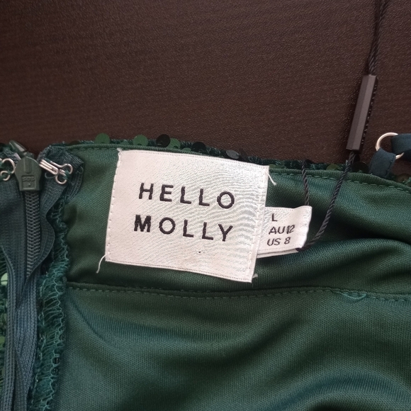 Hello Molly Dark Green Sequin Dress - Picture 9 of 9